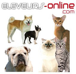 Eleveur online